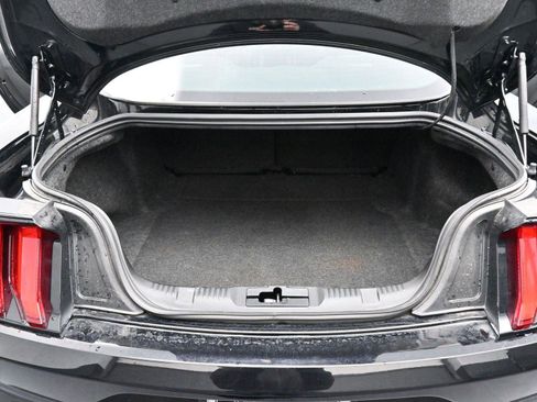 Used 2021 Ford Mustang GT w/ Equipment Group 301A image 9