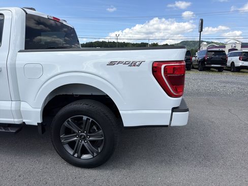 Used 2023 Ford F150 XLT w/ Equipment Group 302A High AWD/4WD image 7