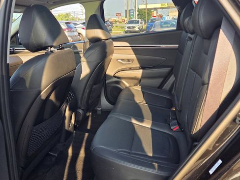 Used 2023 Hyundai Tucson Limited AWD/4WD image 6
