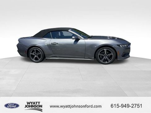 Used 2024 Ford Mustang Premium RWD image 2