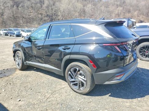 Used 2025 Hyundai Tucson Limited image 3