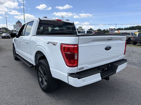 Used 2023 Ford F150 XLT w/ Equipment Group 302A High AWD/4WD image 6