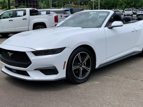 Used 2025 Ford Mustang Premium RWD image 9