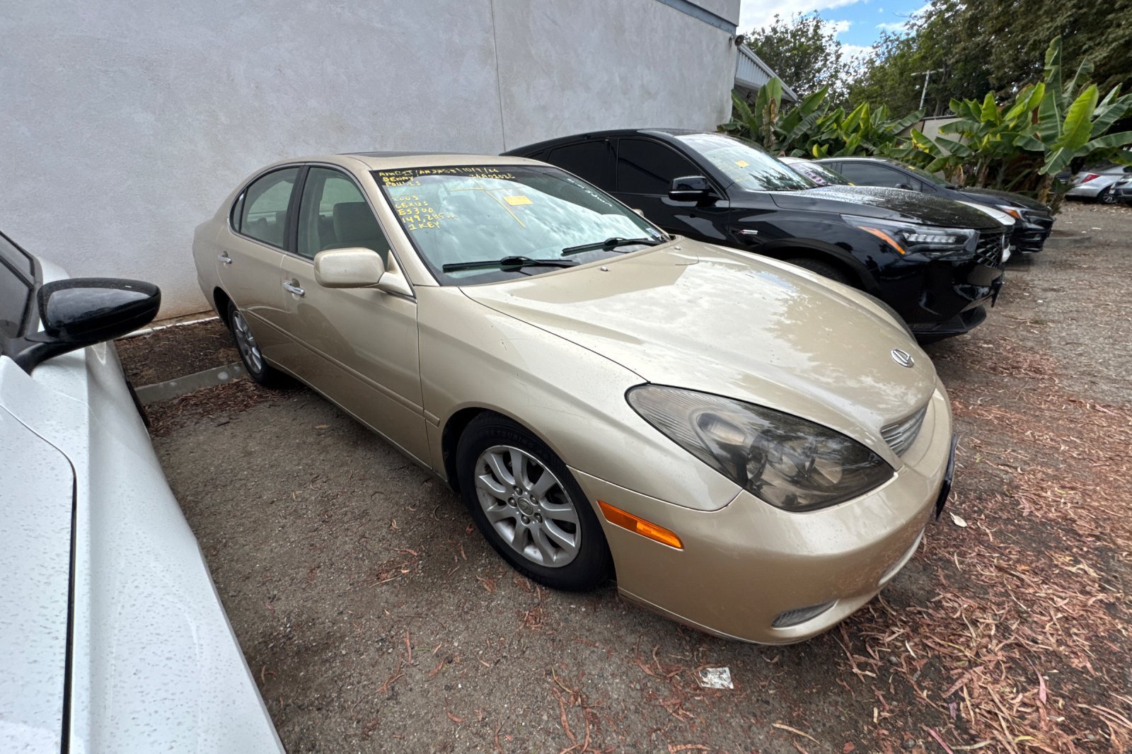 Used 2003 Lexus ES 330 w/ Premium Pkg FWD image 4