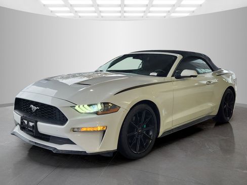 Used 2019 Ford Mustang Premium w/ Equipment Group 201A image 3