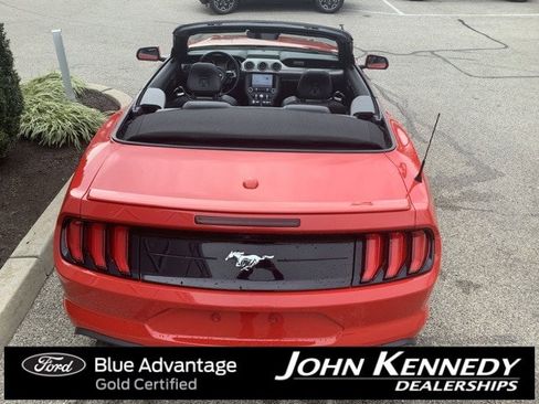 Certified 2023 Ford Mustang Premium image 4