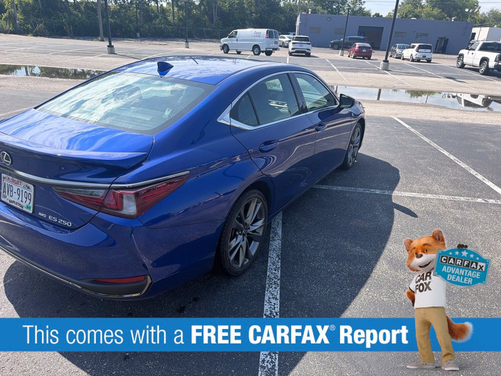 Used 2021 Lexus ES 250 F Sport AWD/4WD image 3