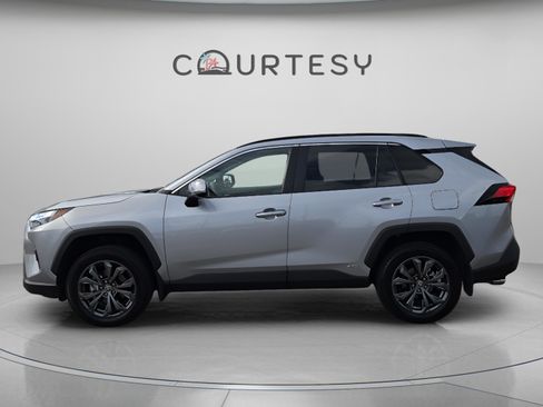 Certified 2025 Toyota RAV4 XLE Premium w/ Weather Package image 3