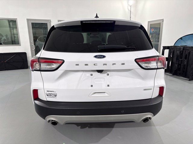 Used 2020 Ford Escape SEL FWD image 7