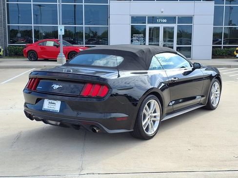 Used 2017 Ford Mustang Premium w/ Equipment Group 201A RWD image 4