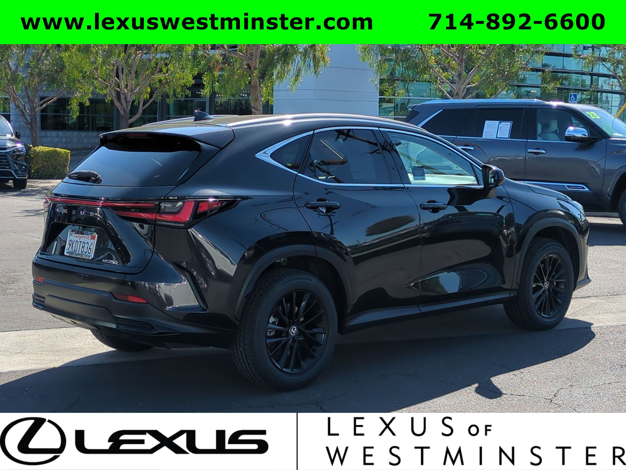Certified 2024 Lexus NX 250 FWD image 8