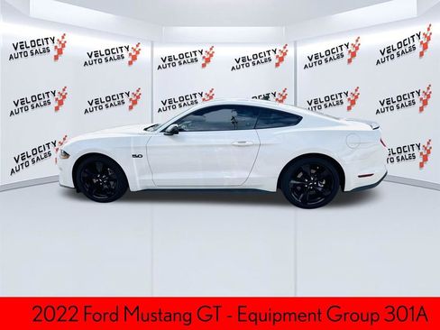 Used 2022 Ford Mustang GT w/ Equipment Group 301A image 6