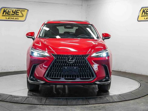 Used 2025 Lexus NX 350 AWD w/ Cold Area Package image 6
