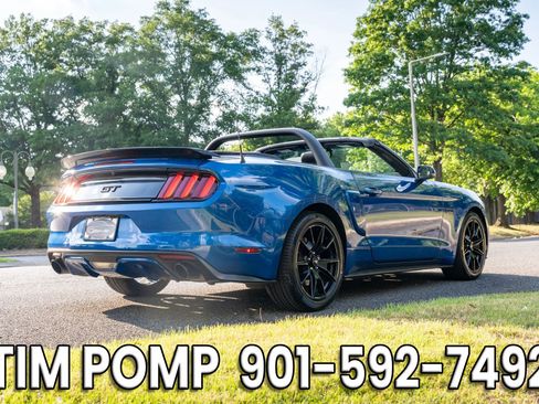 Used 2017 Ford Mustang GT Premium w/ Equipment Group 401A RWD image 5