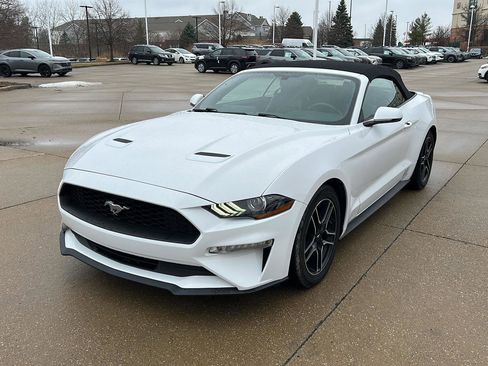 Used 2020 Ford Mustang Premium image 1