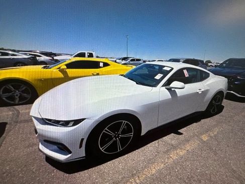 Used 2024 Ford Mustang Premium RWD image 4
