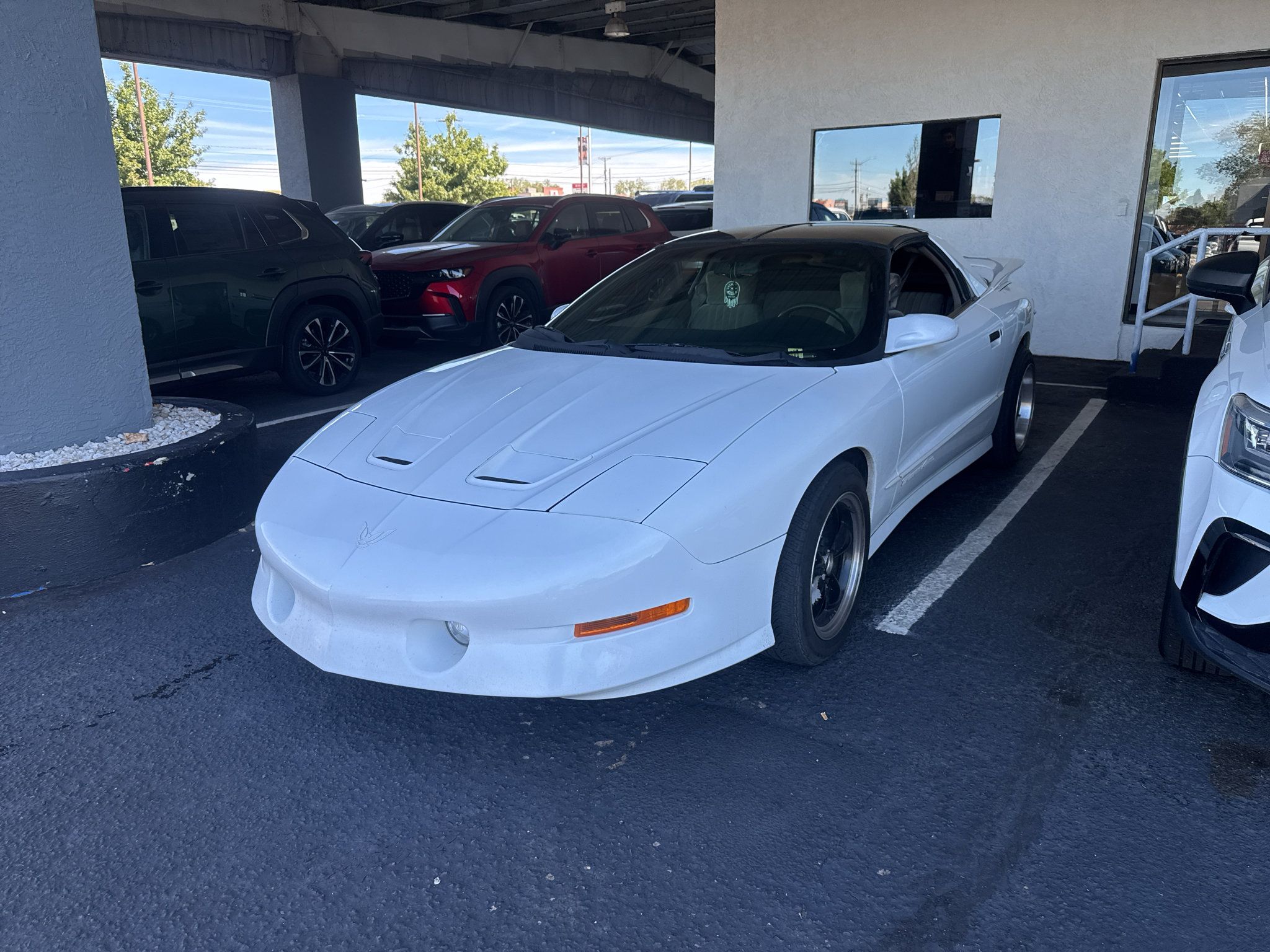 Used 1997 Pontiac Firebird Trans Am RWD image 1