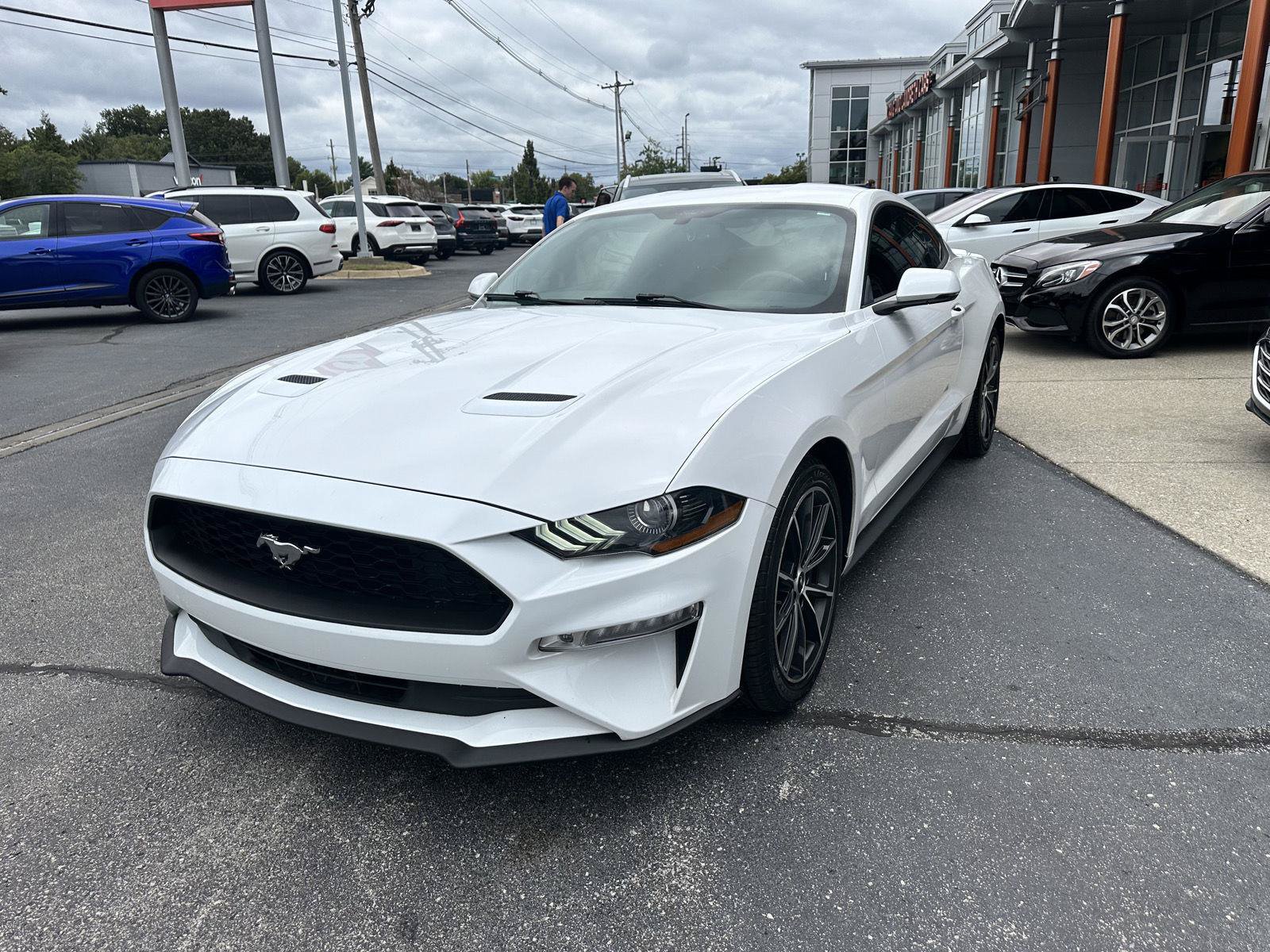 Used 2018 Ford Mustang Premium w/ Wheel & Stripe Package RWD image 7