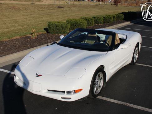 Used 1998 Chevrolet Corvette Convertible image 18