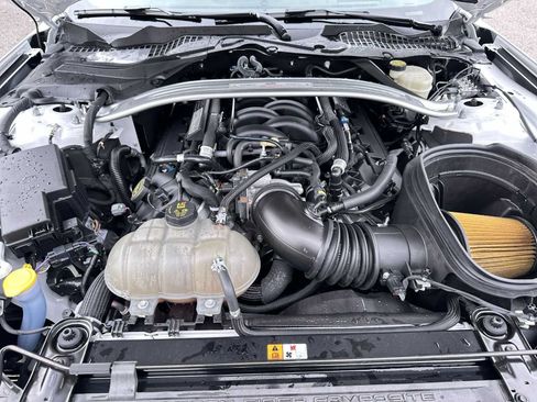 Used 2016 Ford Mustang Shelby GT350 w/ Technology Package RWD image 13