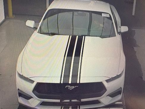 Used 2025 Ford Mustang Coupe RWD image 13