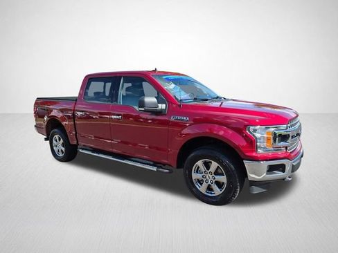 Used 2019 Ford F150 XLT w/ Equipment Group 302A Luxury AWD/4WD image 4