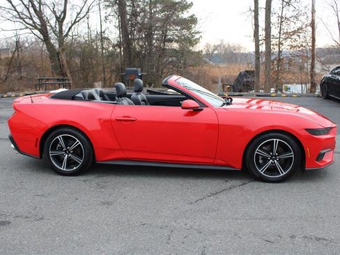 Used 2025 Ford Mustang Premium image 9