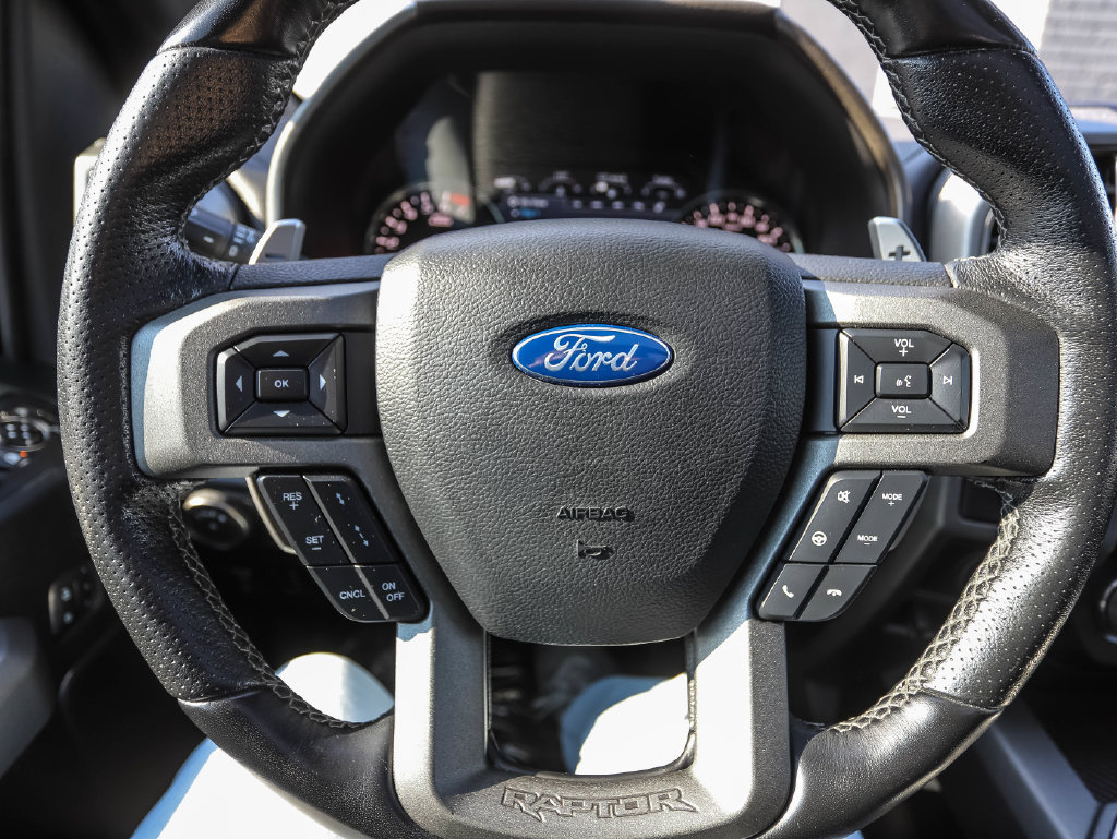 Used 2019 Ford F150 Raptor w/ Equipment Group 802A Luxury AWD/4WD image 12