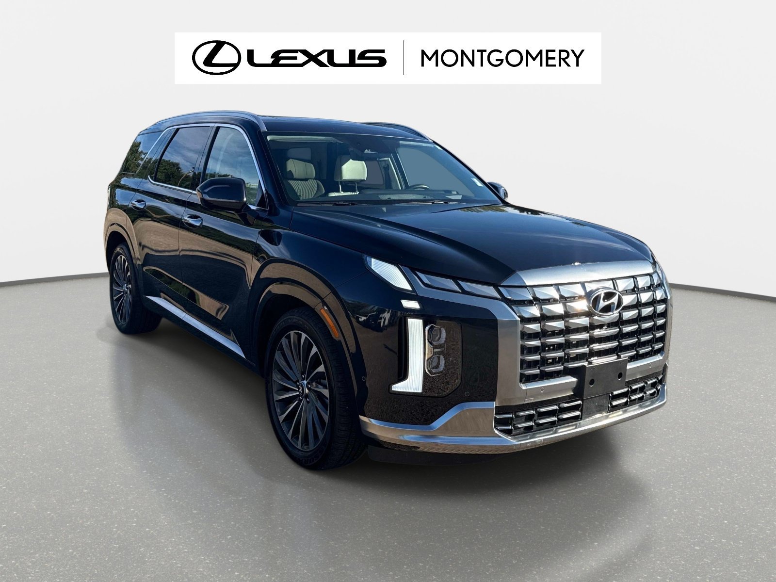 Used 2024 Hyundai Palisade Calligraphy AWD/4WD 360° Tour