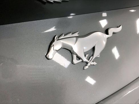 New 2025 Ford Mustang Coupe image 13