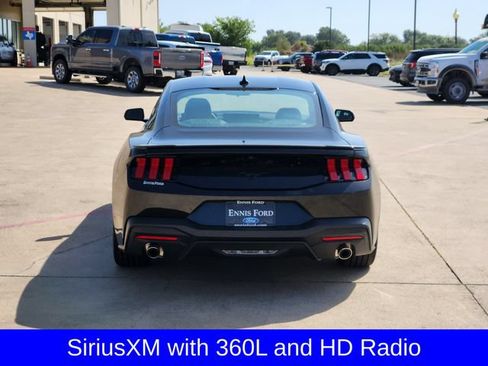 New 2026 Ford Mustang Coupe w/ Mustang Nite Pony Package RWD image 6