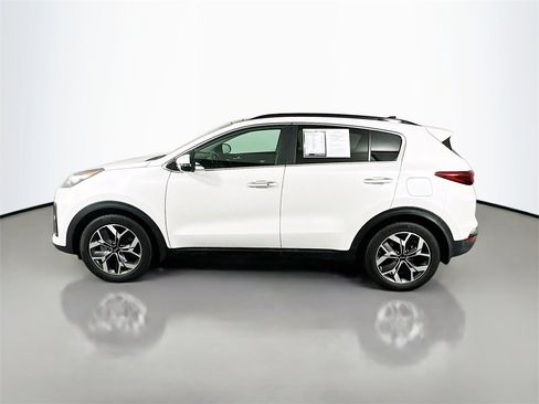Used 2022 Kia Sportage EX w/ EX Technology Package image 4