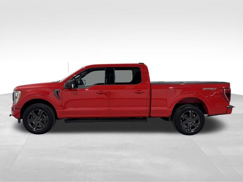 Used 2023 Ford F150 XLT w/ Equipment Group 302A High AWD/4WD image 12