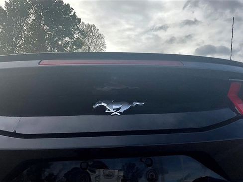 Used 2024 Ford Mustang Premium image 21