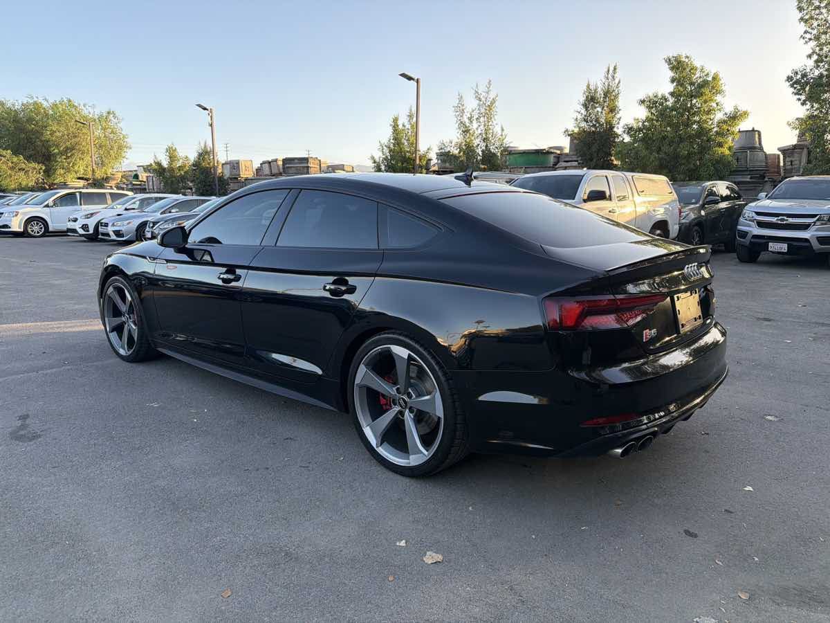 Used 2019 Audi S5 Premium Plus w/ Premium Plus AWD/4WD image 5