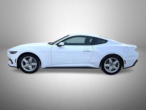 New 2026 Ford Mustang EcoBoost image 8