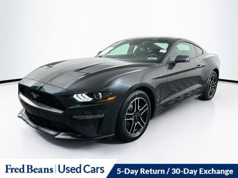 Used 2022 Ford Mustang Premium w/ Equipment Group 201A RWD image 4