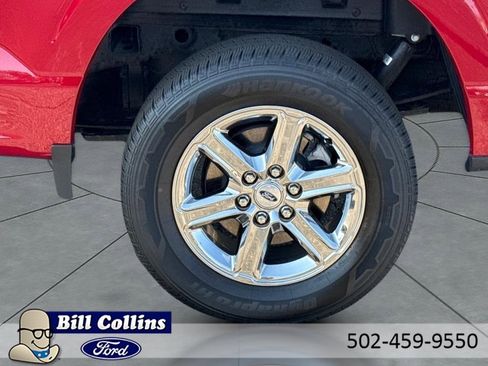 New 2025 Ford F150 XLT w/ Equipment Group 301A Standard image 4