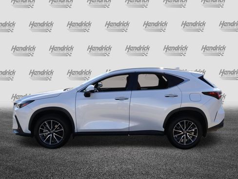 Used 2024 Lexus NX 350 350 Premium image 6