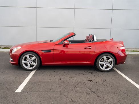 Used 2015 Mercedes-Benz SLK 250 image 2