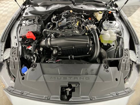 New 2026 Ford Mustang Premium w/ Mustang Nite Pony Package image 31