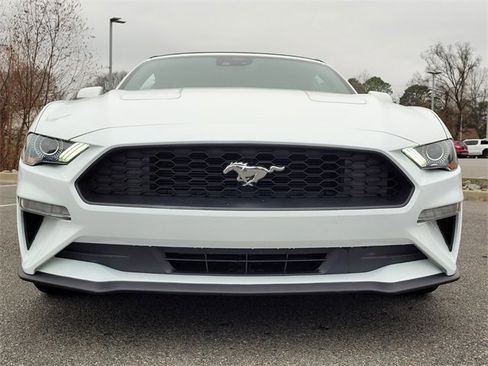 Used 2023 Ford Mustang Premium image 9