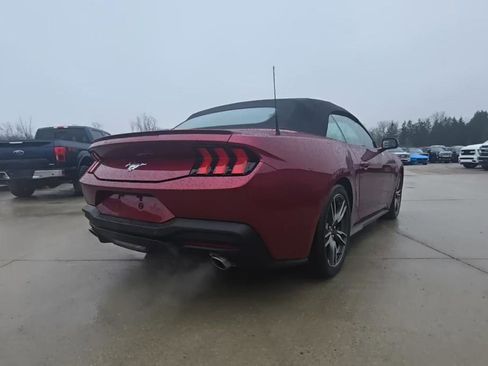 Used 2025 Ford Mustang Premium w/ Wheel & Stripe Package image 7