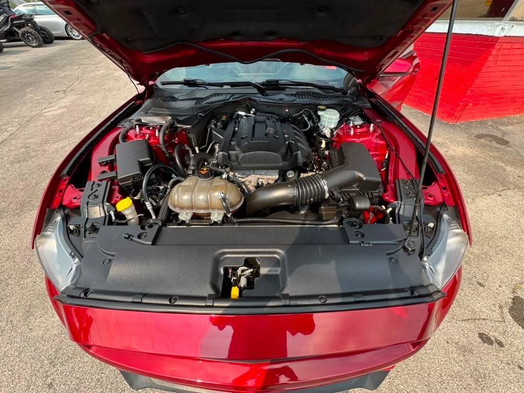 Used 2015 Ford Mustang Premium w/ Equipment Group 201A RWD image 29