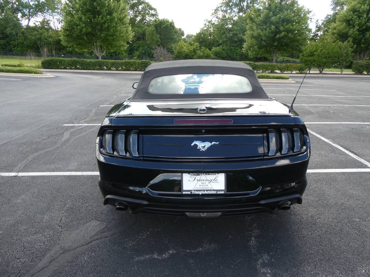 Used 2019 Ford Mustang Premium RWD image 6