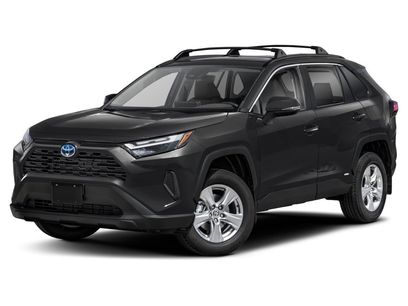 Used 2025 Toyota RAV4 XLE Premium
