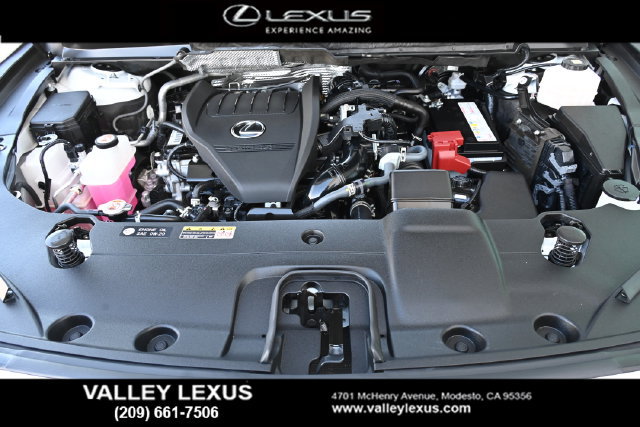 Certified 2024 Lexus RX 350 Premium Plus w/ Cold Area Package FWD image 22