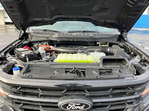 New 2025 Ford F150 XLT w/ Equipment Group 302A MID image 22