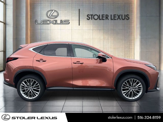 Certified 2025 Lexus NX 350 AWD w/ Cold Area Package image 4