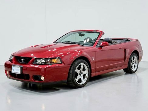 Used 2004 Ford Mustang Cobra RWD image 9